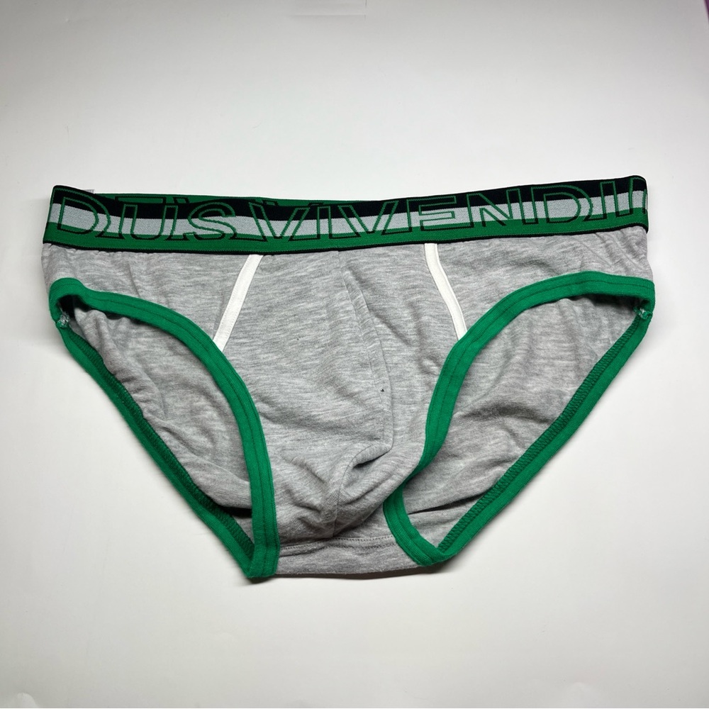 Gray and Green Men's Briefs